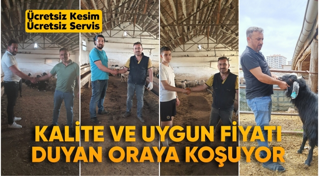 Kurbanlığı Mustafa Altay'dan alan kazançlı çıkıyor