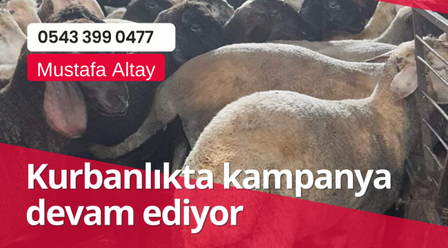 Kurbanlıkta kampanya devam ediyor