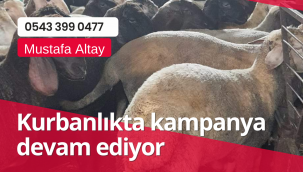 Kurbanlıkta kampanya devam ediyor